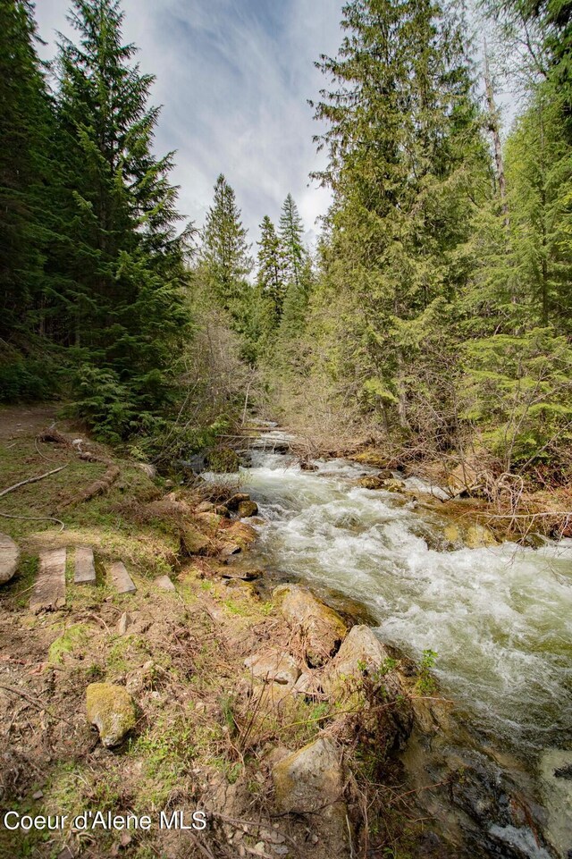 2884 Morris Rd, Naples, ID 83847 - view of local wilderness with a forest view