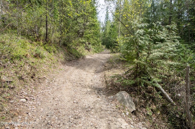 2884 Morris Rd, Naples, ID 83847 - view of road featuring a wooded view