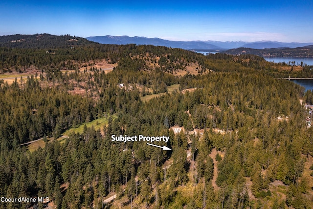 326 Sunrise Bay Rd, Sagle, ID 83860 - photo 16