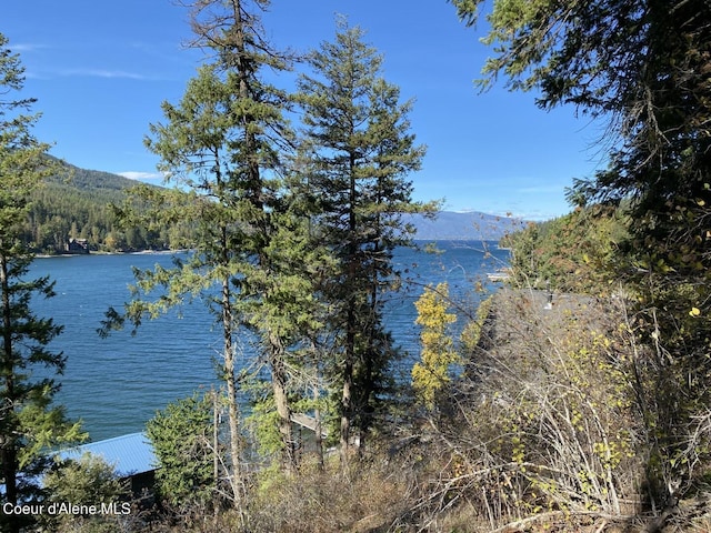 water view with a mountain backdrop and a forest