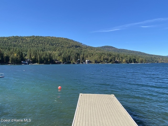 dock area featuring a forest view and a water and mountain view