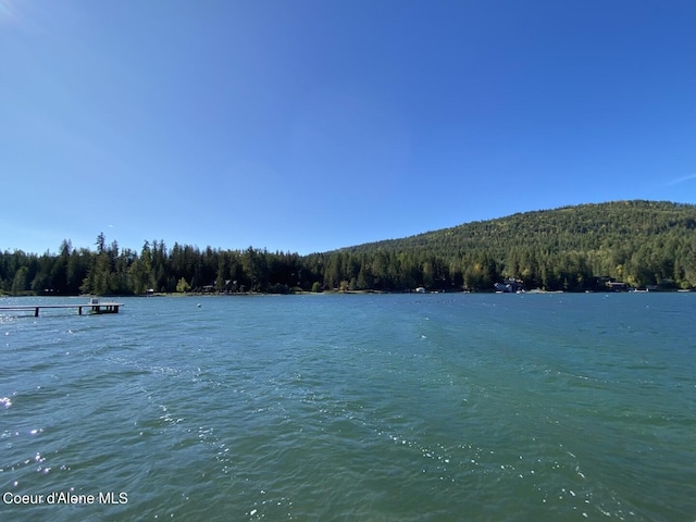 water view featuring a heavily wooded area