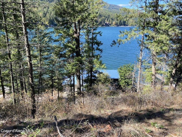 water view with a forest