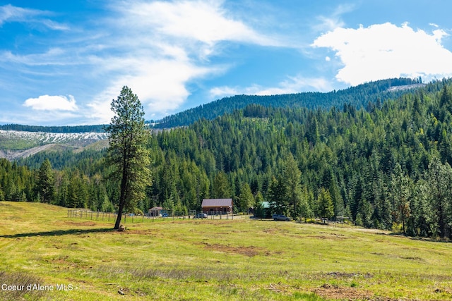 view of mountain feature with a rural view and a forest view