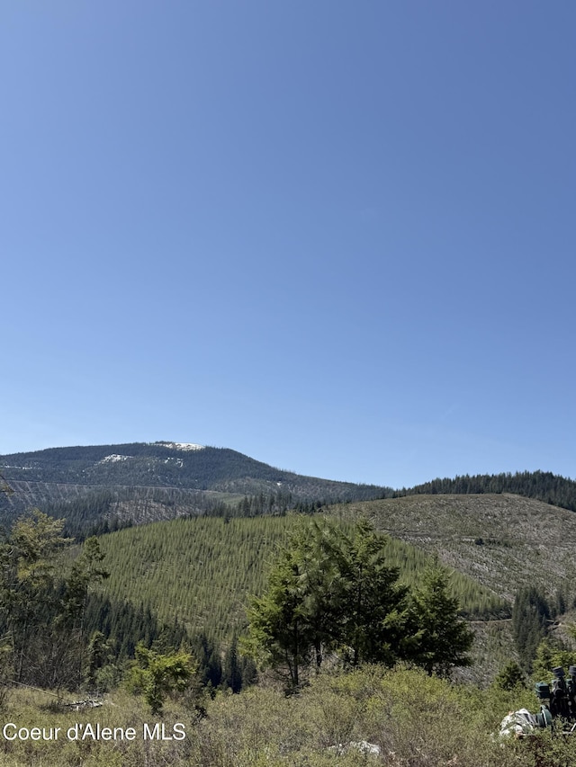 mountain view featuring a forest view