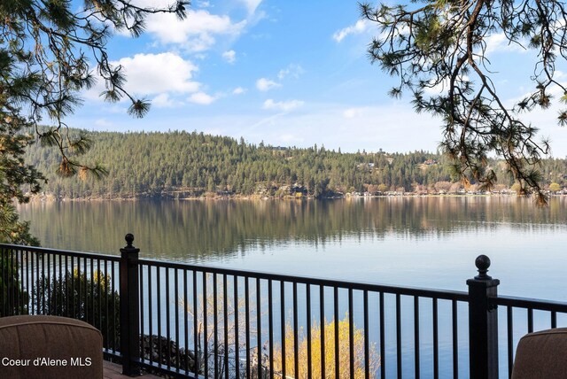 610 S Neyland Ave, Liberty Lake, WA 99019 - photo 9
