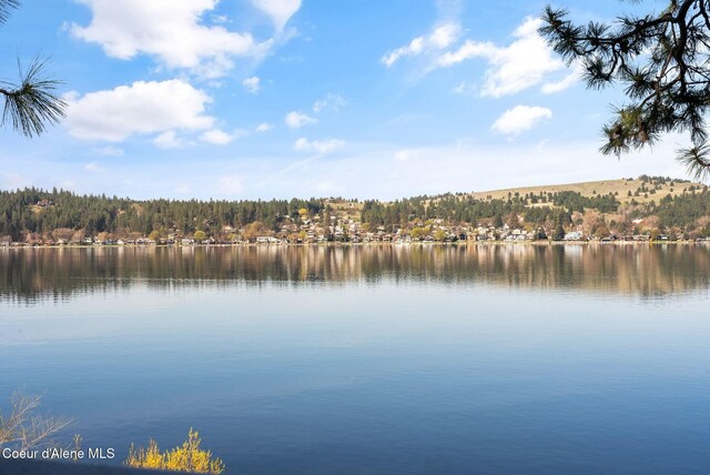 610 S Neyland Ave, Liberty Lake, WA 99019 - photo 40