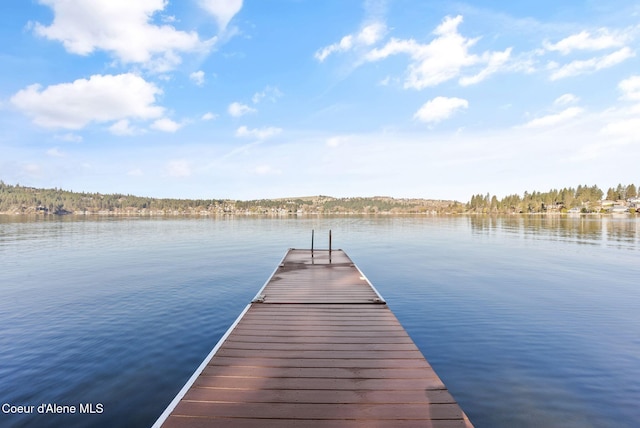 610 S Neyland Ave, Liberty Lake, WA 99019 - photo 2