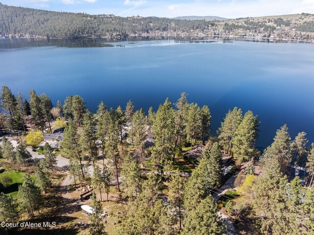 610 S Neyland Ave, Liberty Lake, WA 99019 - photo 67