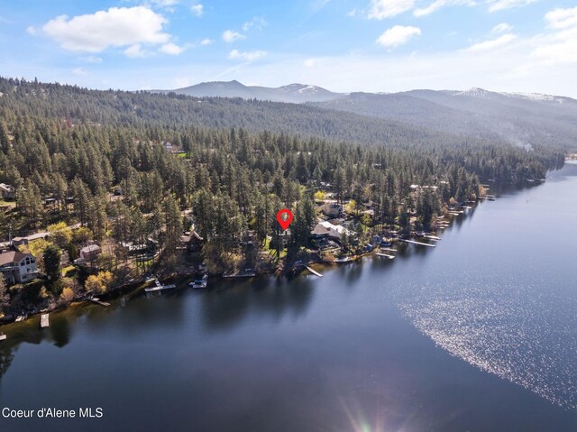 610 S Neyland Ave, Liberty Lake, WA 99019 - photo 69