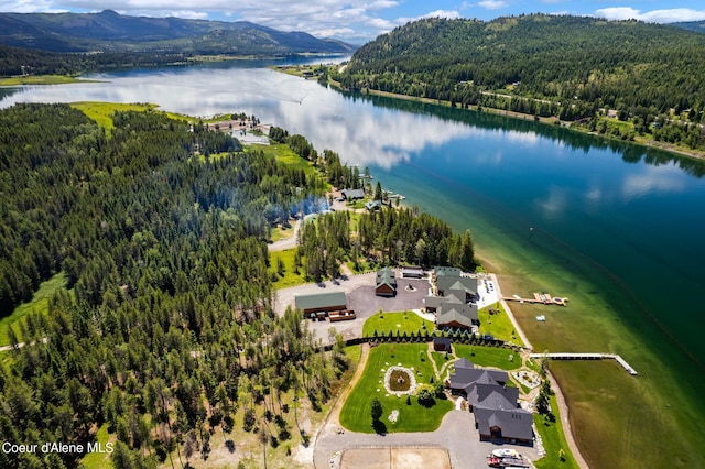 birds eye view of property featuring a forest view and a water and mountain view