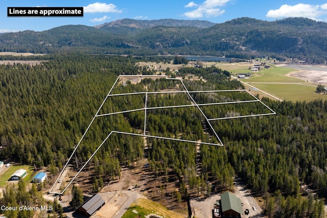 bird's eye view featuring a mountain view and a wooded view