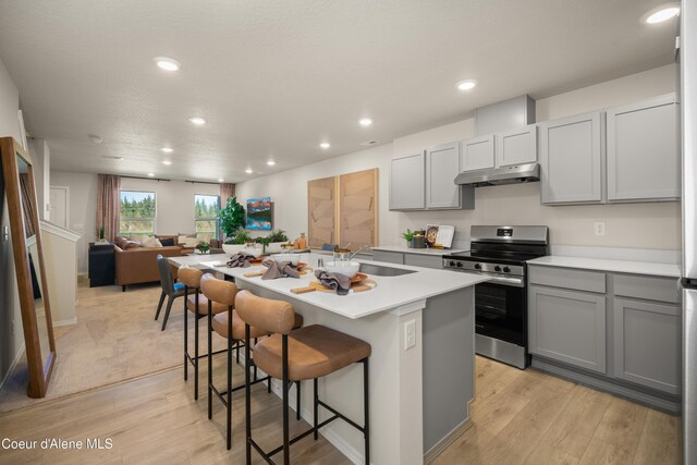 120 E Spirea Ln, Hayden, ID 83835 - kitchen featuring a sink, stainless steel range with electric cooktop, light wood finished floors, under cabinet range hood, and gray cabinetry