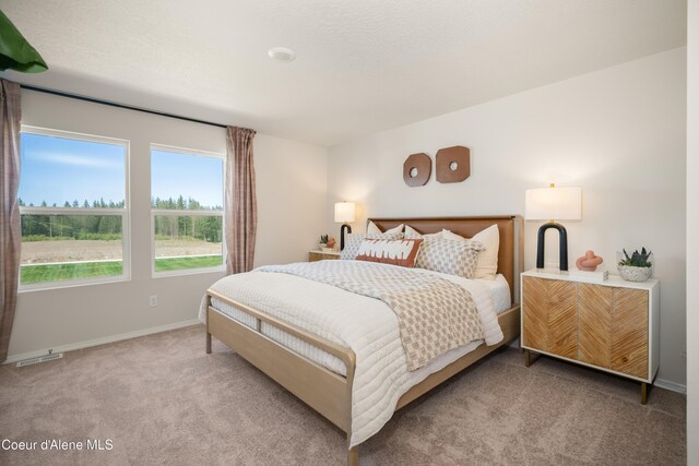 120 E Spirea Ln, Hayden, ID 83835 - carpeted bedroom with baseboards and visible vents