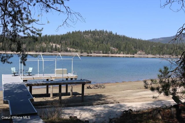 view of dock featuring a water view and a view of trees