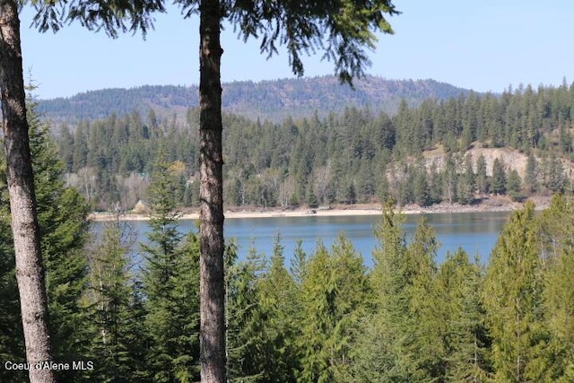 property view of water with a view of trees