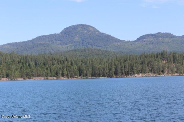 457 Gypsy Bay Rd, Sagle, ID 83860 - photo 65
