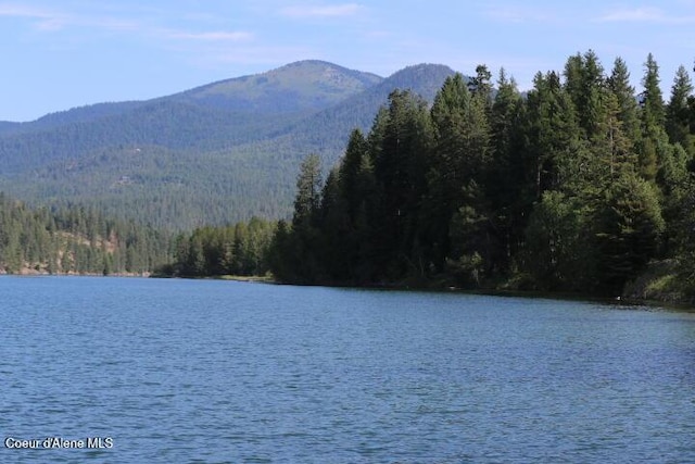 457 Gypsy Bay Rd, Sagle, ID 83860 - photo 69