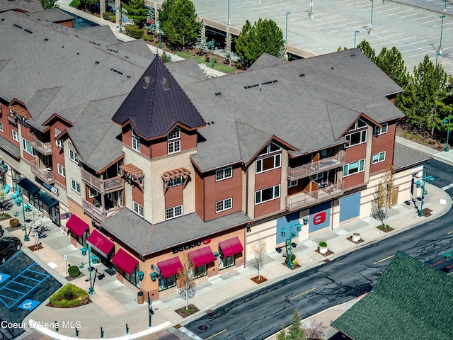 drone / aerial view