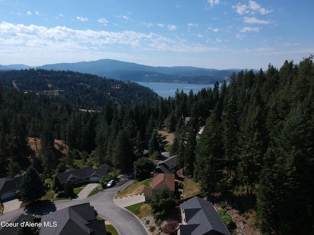 956 N Armstrong Dr, Coeur Dalene, ID 83814 - photo 69