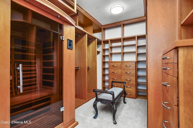 9024 N Baldwin Ct, Hayden, ID 83835 - spacious closet with carpet