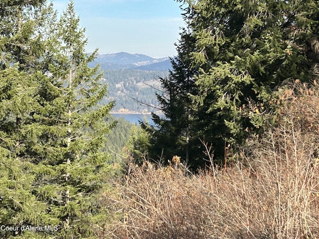 30478 W Juniper Cir, Worley, ID 83876