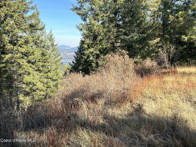 30478 W Juniper Cir, Worley, ID 83876