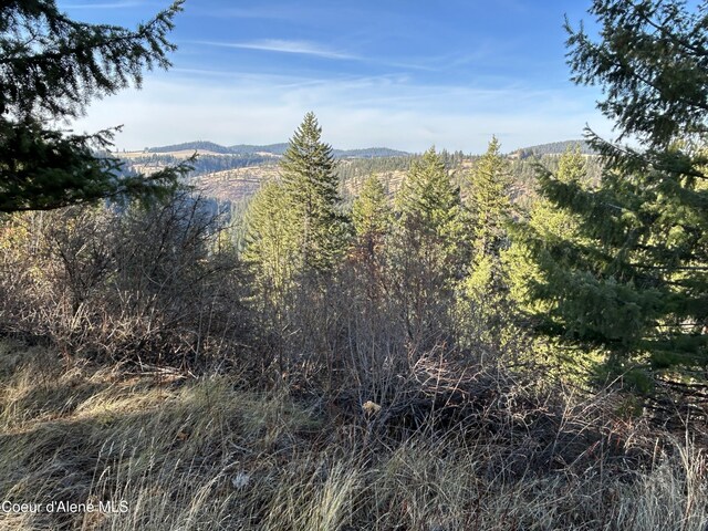 30478 W Juniper Cir, Worley, ID 83876