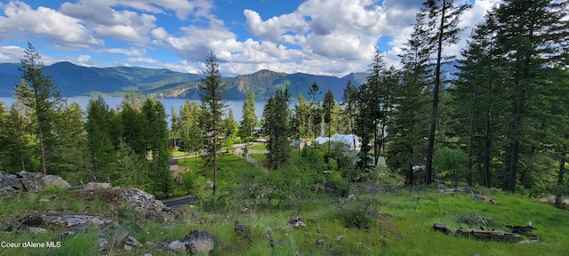 NNA Glacier Loop, Bayview, ID 83803 - photo 1