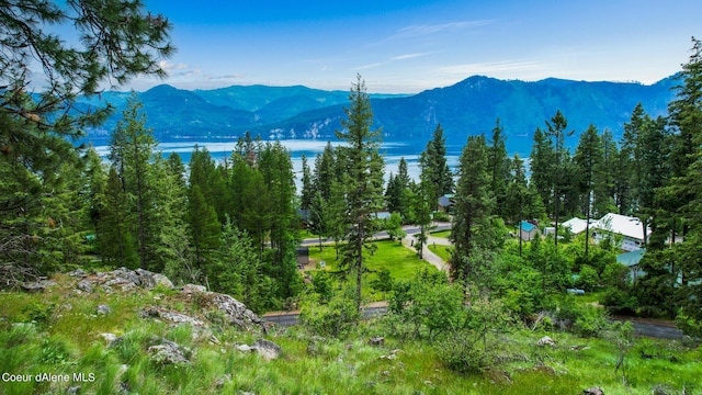 NNA Glacier Loop, Bayview, ID 83803 - photo 2