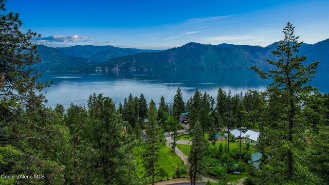 NNA Glacier Loop, Bayview, ID 83803 - photo 4