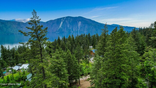 NNA Glacier Loop, Bayview, ID 83803 - photo 5