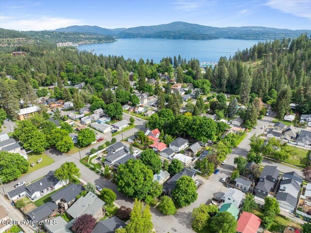 917 E Young Ave, Coeur Dalene, ID 83814 - aerial view of property's location with a water and mountain view, nearby suburban area, and a forest