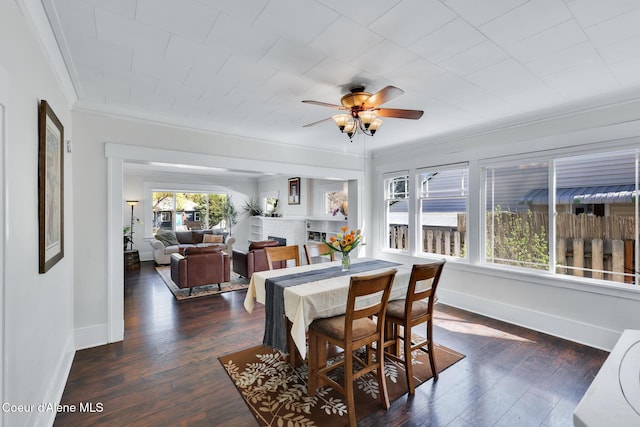 dining room featuring baseboards, dark wood-type flooring, ceiling fan, and crown molding
