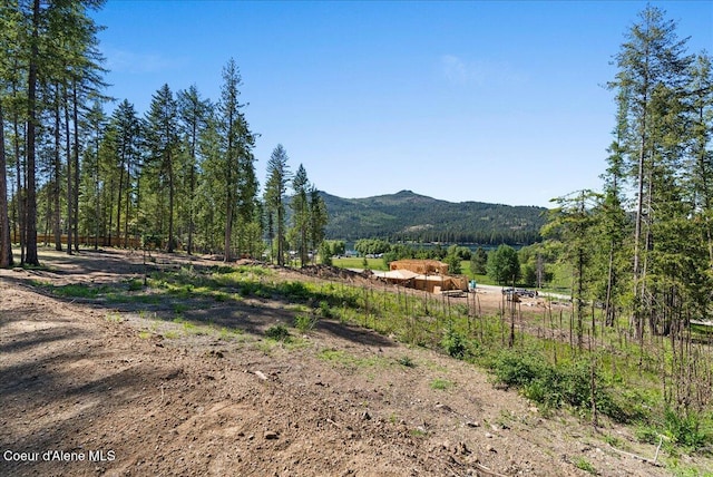 184 Willow Bay Rd, Priest River, ID 83856 - photo 53