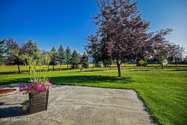 view of community with a patio area and a yard