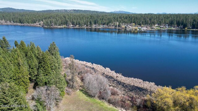 NKA N Perry Rd, Deer Park, WA 99006 - photo 16