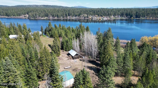 NKA N Perry Rd, Deer Park, WA 99006 - photo 10