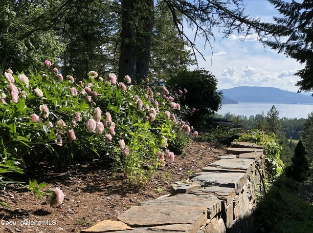 235 Larkin Ln, Sandpoint, ID 83864 - view of yard with a mountain view