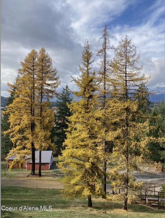 235 Larkin Ln, Sandpoint, ID 83864 - surrounding community featuring a lawn and a wooded view