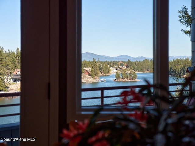 255 S Theresa Terrace Dr, Post Falls, ID 83854 - details featuring a water and mountain view