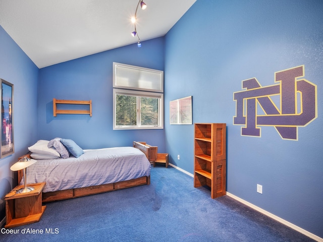 255 S Theresa Terrace Dr, Post Falls, ID 83854 - carpeted bedroom with track lighting, baseboards, and vaulted ceiling