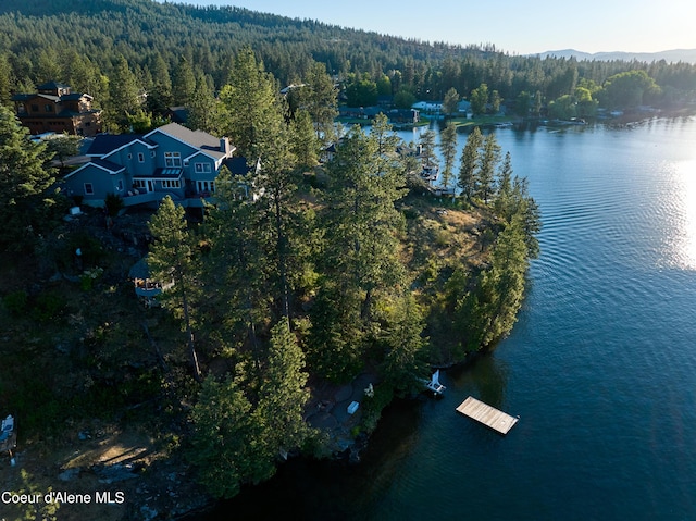 255 S Theresa Terrace Dr, Post Falls, ID 83854 - drone / aerial view featuring a view of trees and a water view