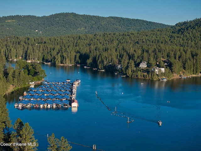 255 S Theresa Terrace Dr, Post Falls, ID 83854 - bird's eye view featuring a wooded view and a water and mountain view