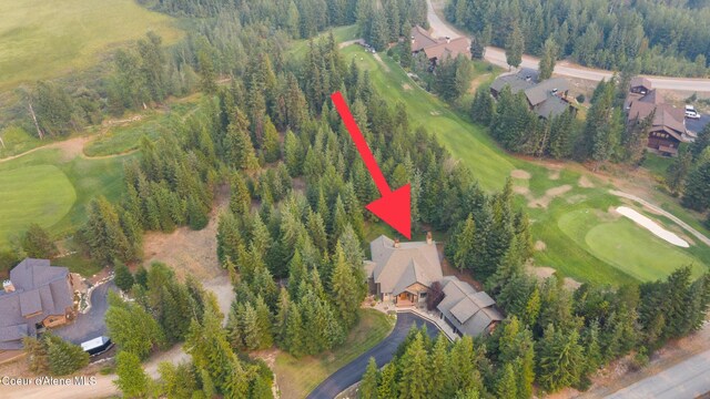 131 Long Dr, Priest Lake, ID 83856 - birds eye view of property featuring a residential view and view of golf course