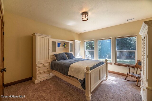 131 Long Dr, Priest Lake, ID 83856 - bedroom featuring light colored carpet, visible vents, and baseboards