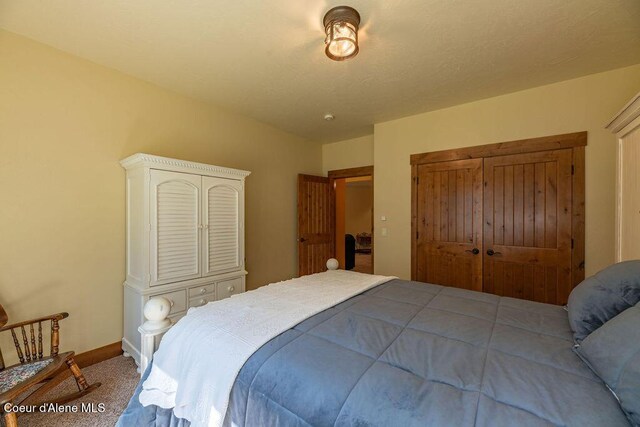 131 Long Dr, Priest Lake, ID 83856 - carpeted bedroom with a closet and baseboards