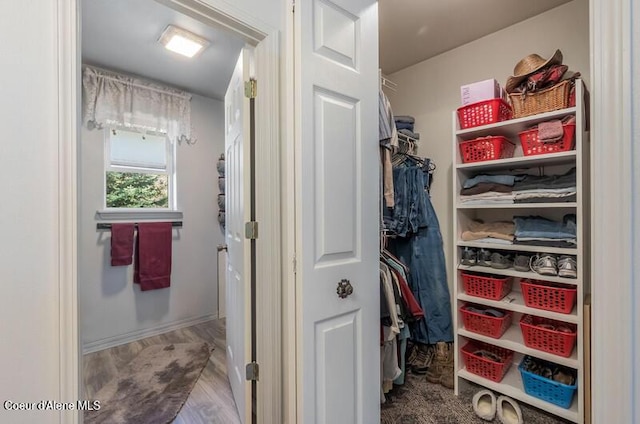 view of spacious closet