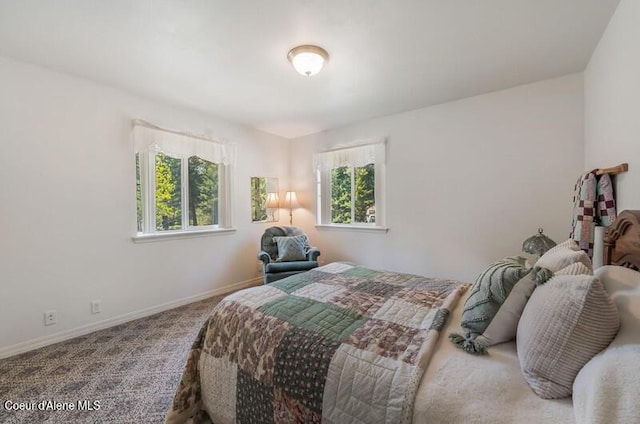 bedroom with baseboards and carpet floors