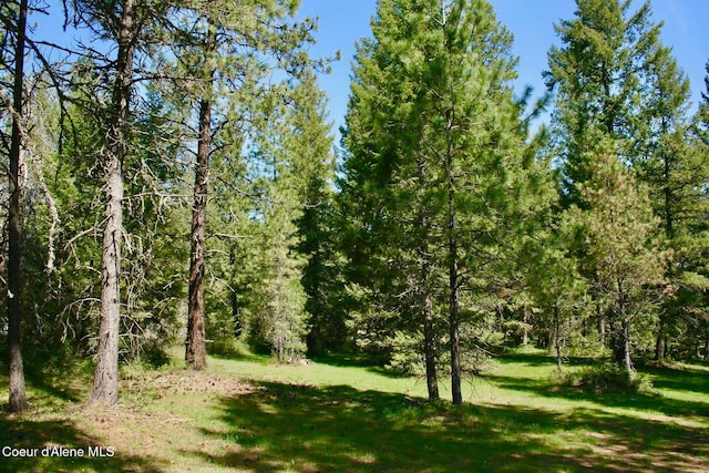 view of nature featuring a wooded view